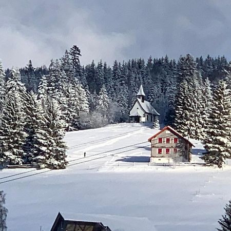 Haus Am Sonnenberg,Todtnauberg, Ferienwohnung 002, Direkt Am Skilift-Skipiste, Naehe Feldberg Buitenkant foto