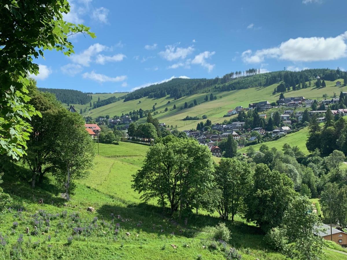 Haus Am Sonnenberg,Todtnauberg, Ferienwohnung 002, Direkt Am Skilift-Skipiste, Naehe Feldberg Buitenkant foto