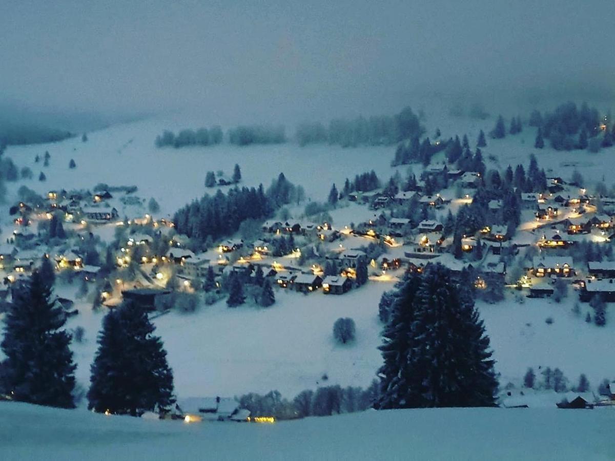 Haus Am Sonnenberg,Todtnauberg, Ferienwohnung 002, Direkt Am Skilift-Skipiste, Naehe Feldberg Buitenkant foto