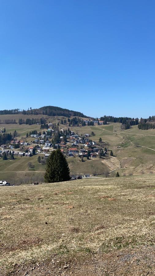 Haus Am Sonnenberg,Todtnauberg, Ferienwohnung 002, Direkt Am Skilift-Skipiste, Naehe Feldberg Buitenkant foto