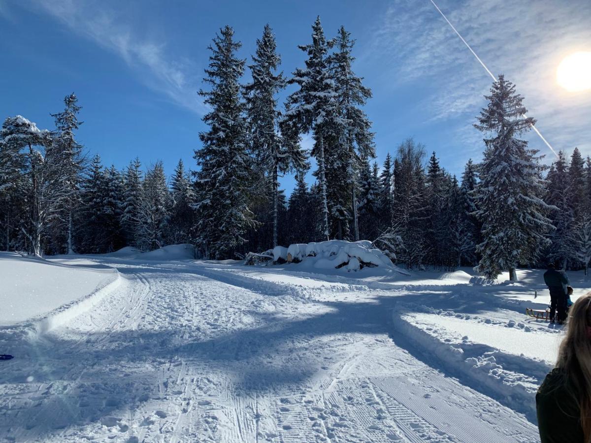 Haus Am Sonnenberg,Todtnauberg, Ferienwohnung 002, Direkt Am Skilift-Skipiste, Naehe Feldberg Buitenkant foto