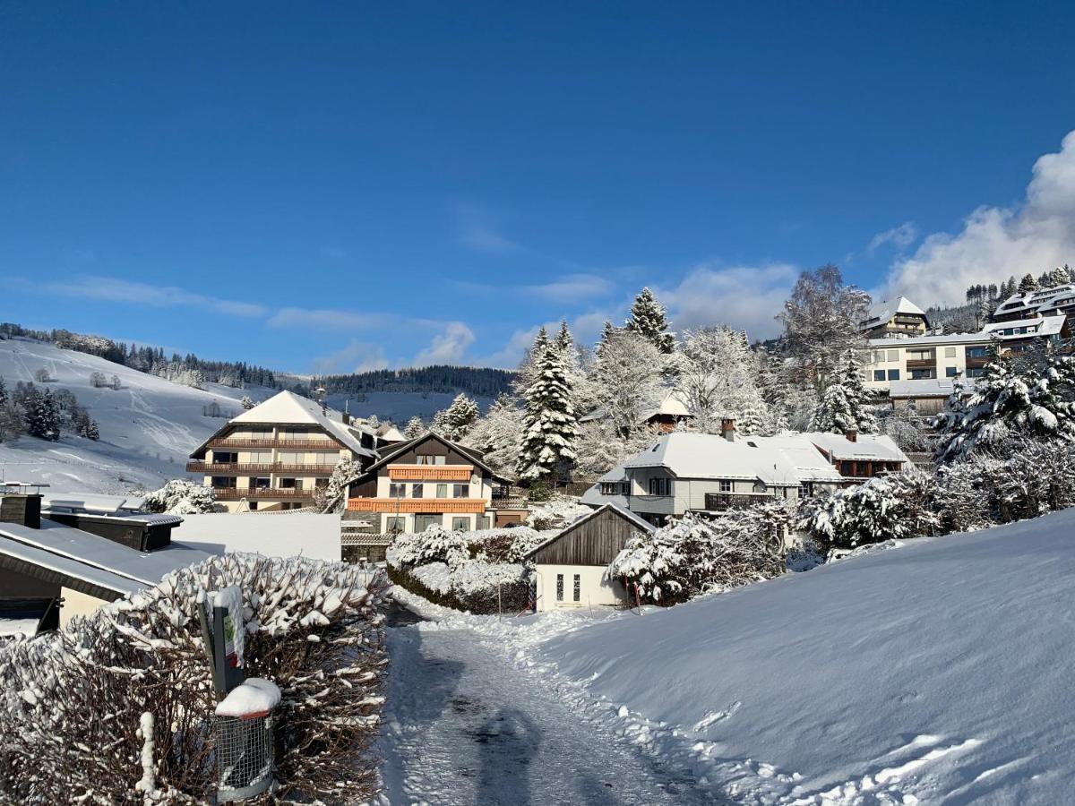 Haus Am Sonnenberg,Todtnauberg, Ferienwohnung 002, Direkt Am Skilift-Skipiste, Naehe Feldberg Buitenkant foto